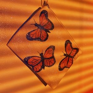 Painted Butterfly Pouch
